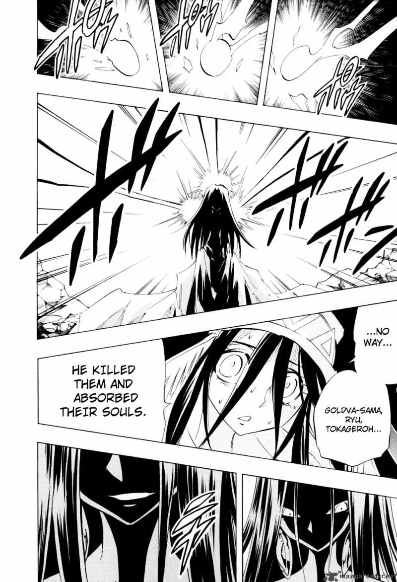 Shaman King Chapter 297 page 17
