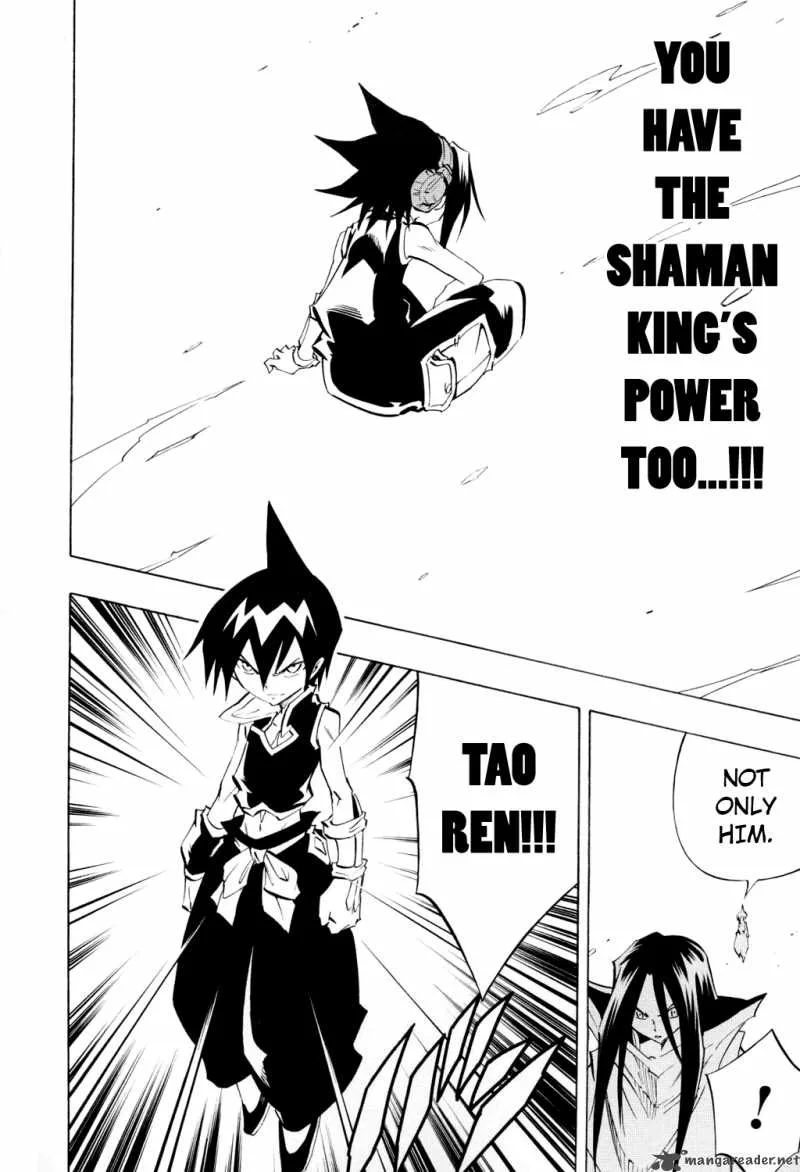 Shaman King Chapter 298 page 13