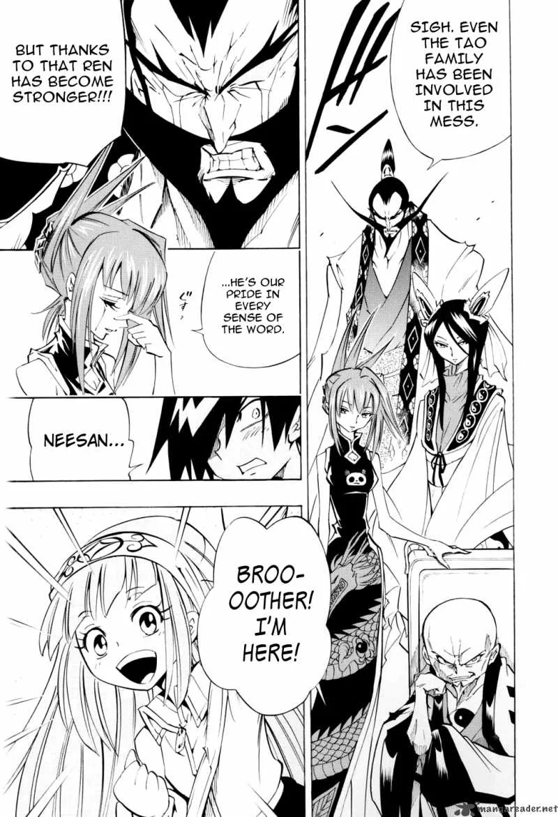 Shaman King Chapter 299 page 30