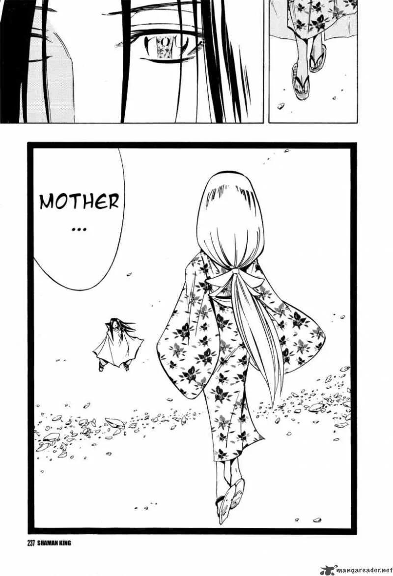 Shaman King Chapter 299 page 65