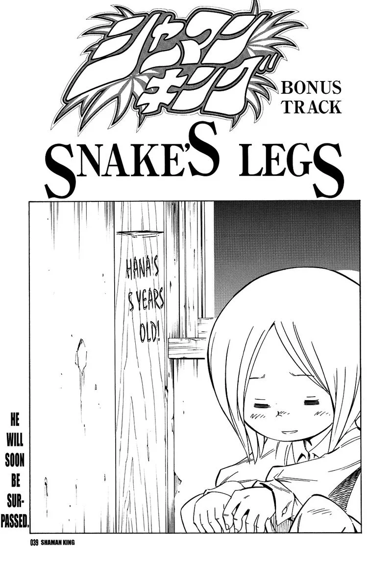 Shaman King Chapter 300.1 page 3