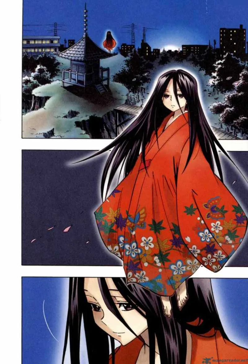Shaman King Chapter 300 page 28