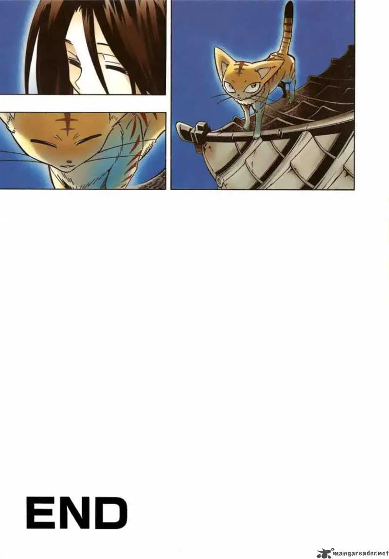 Shaman King Chapter 300 page 29