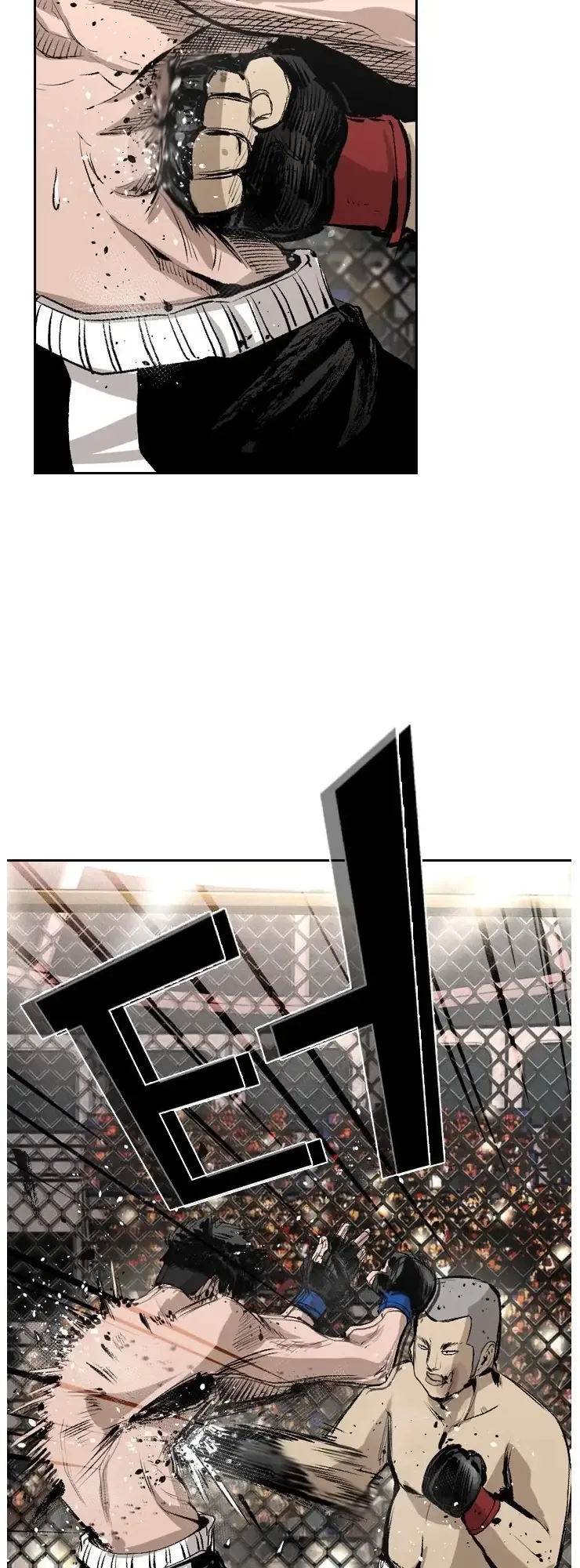 Shark Chapter 146 page 24