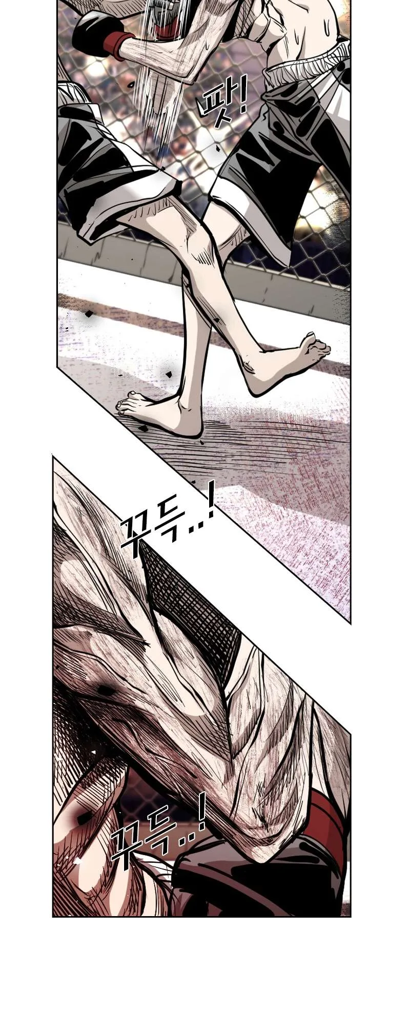 Shark Chapter 199 page 45
