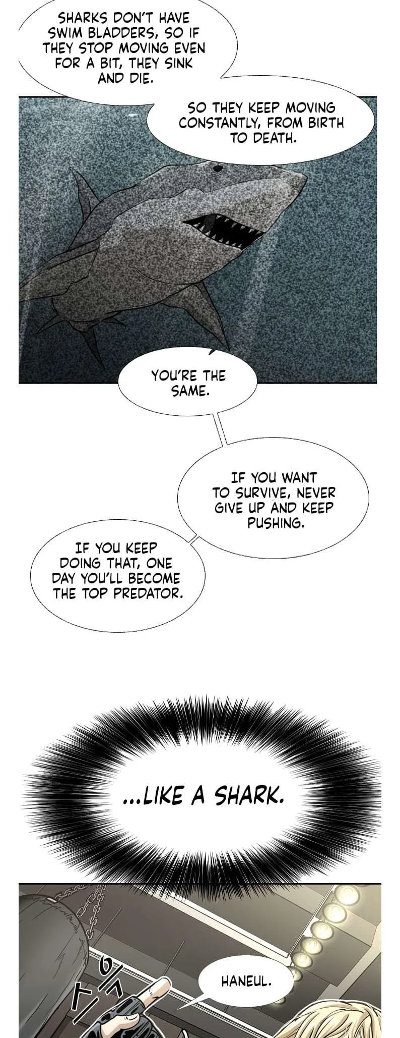 Shark Chapter 239 page 35