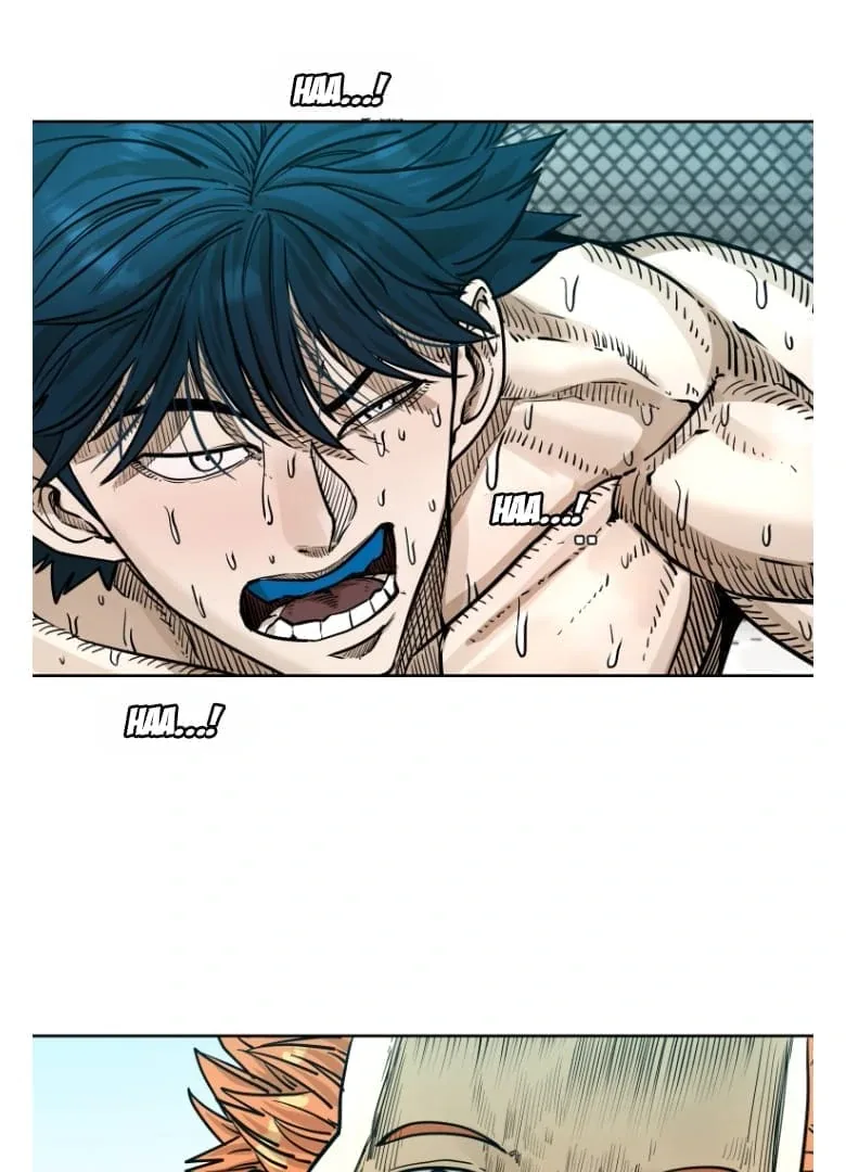 Shark Chapter 274 page 41