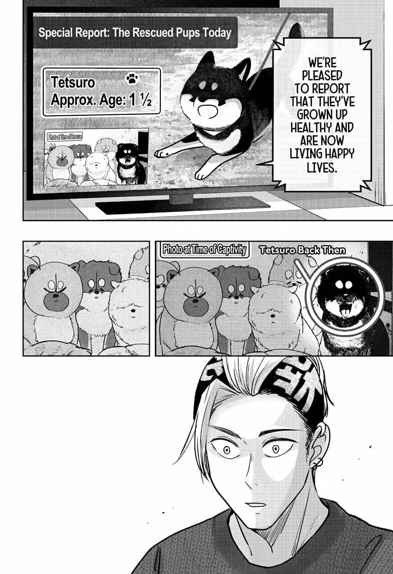 Shiba-Tsuki Bukken Chapter 18 page 8