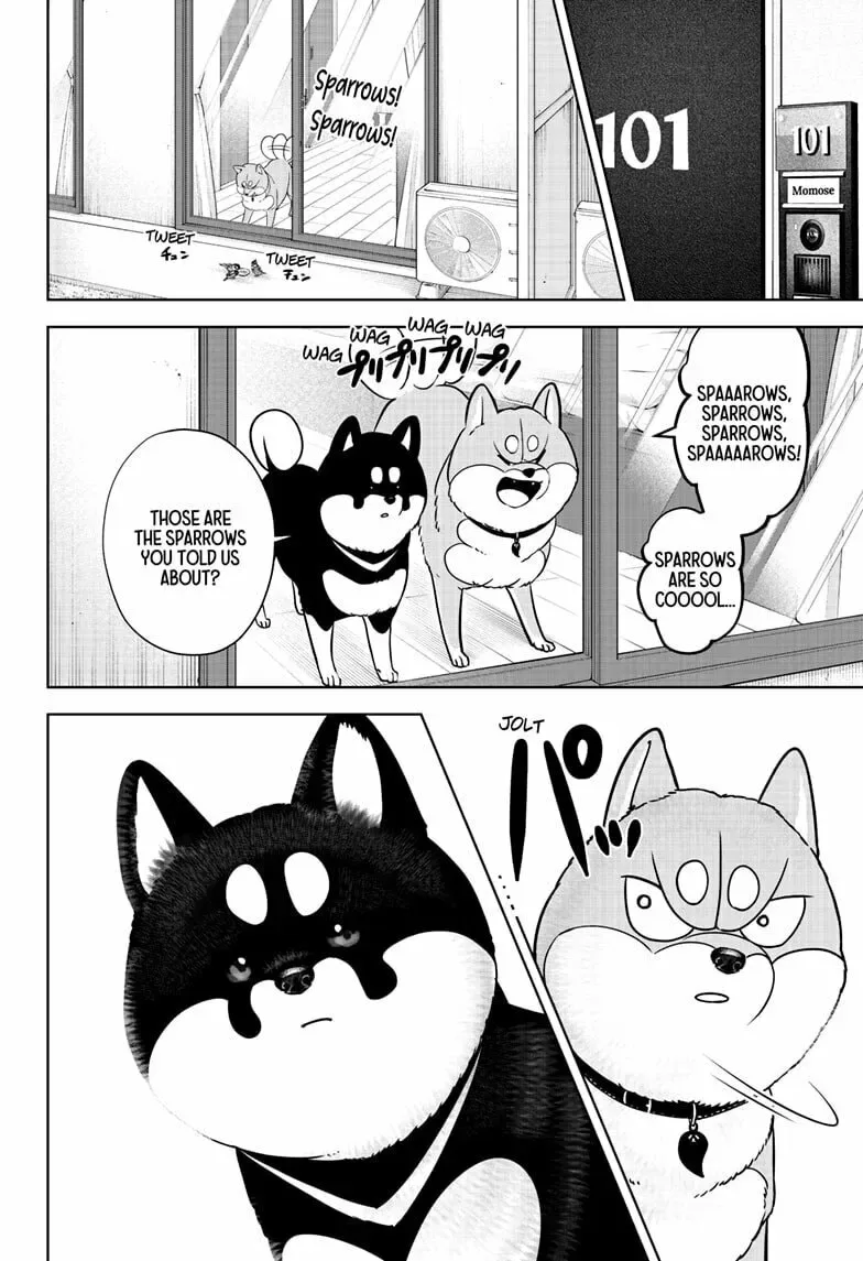 Shiba-Tsuki Bukken Chapter 22 page 8