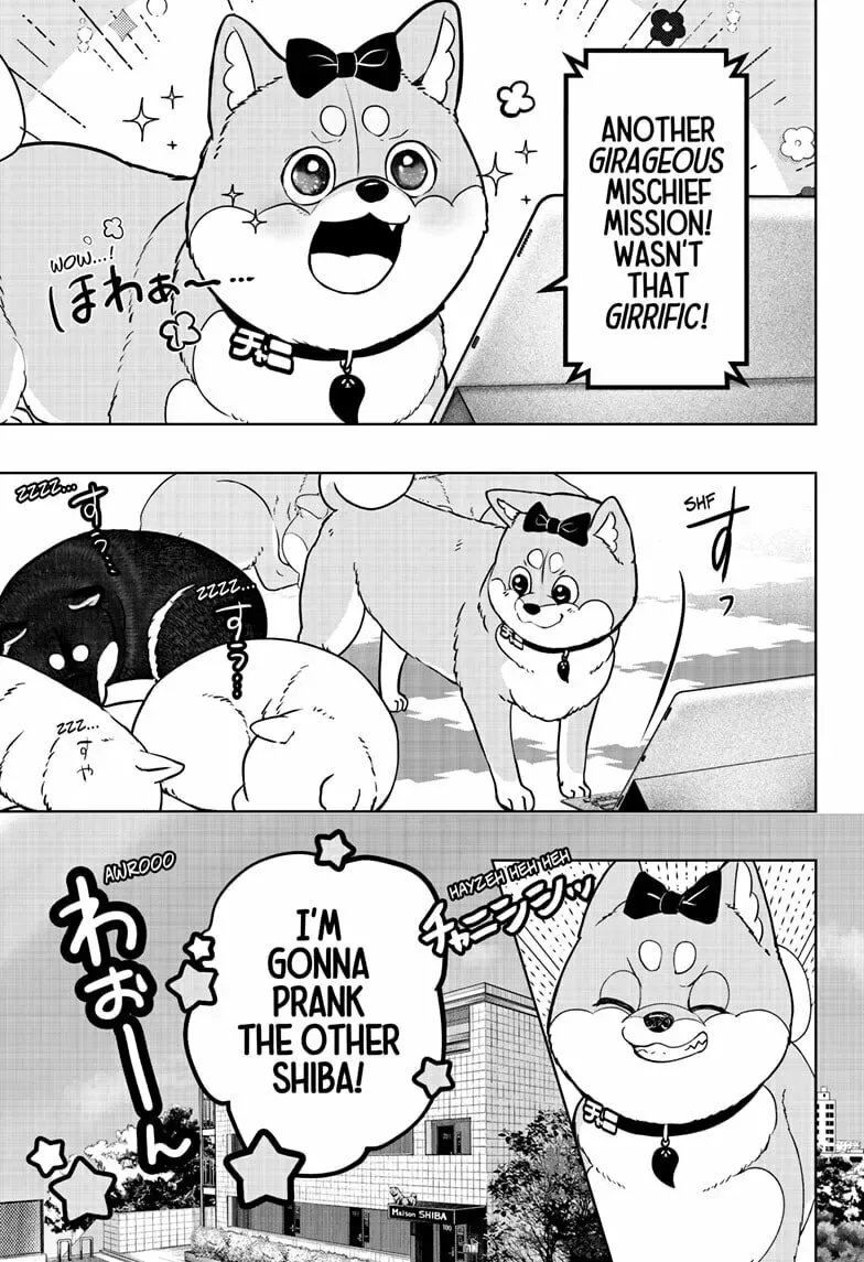 Shiba-Tsuki Bukken Chapter 33 page 5
