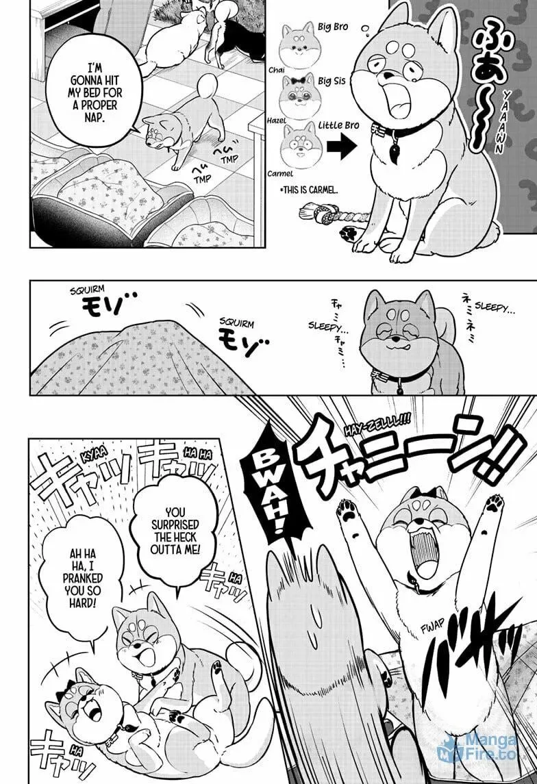 Shiba-Tsuki Bukken Chapter 33 page 6