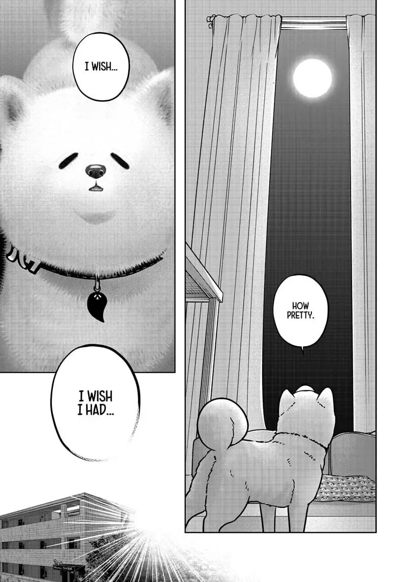 Shiba-Tsuki Bukken Chapter 39 page 7