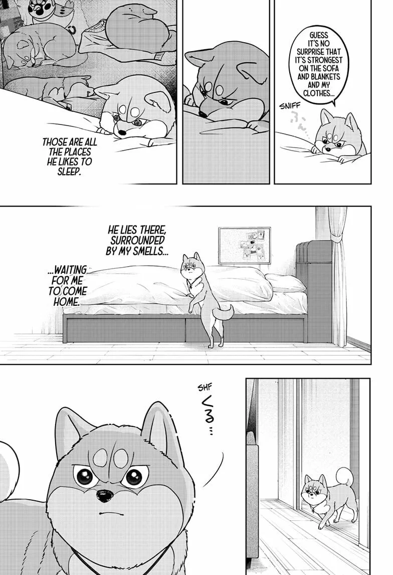 Shiba-Tsuki Bukken Chapter 44 page 25