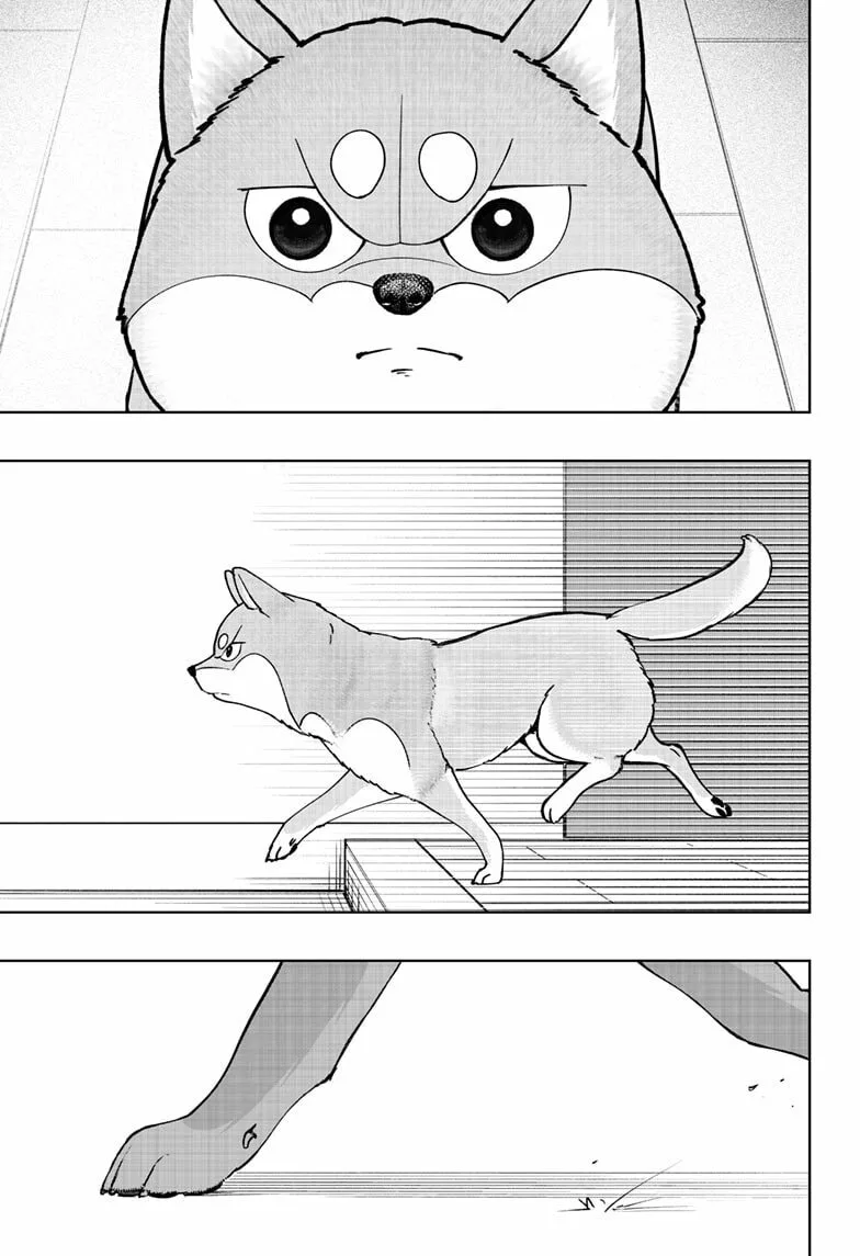 Shiba-Tsuki Bukken Chapter 44 page 33