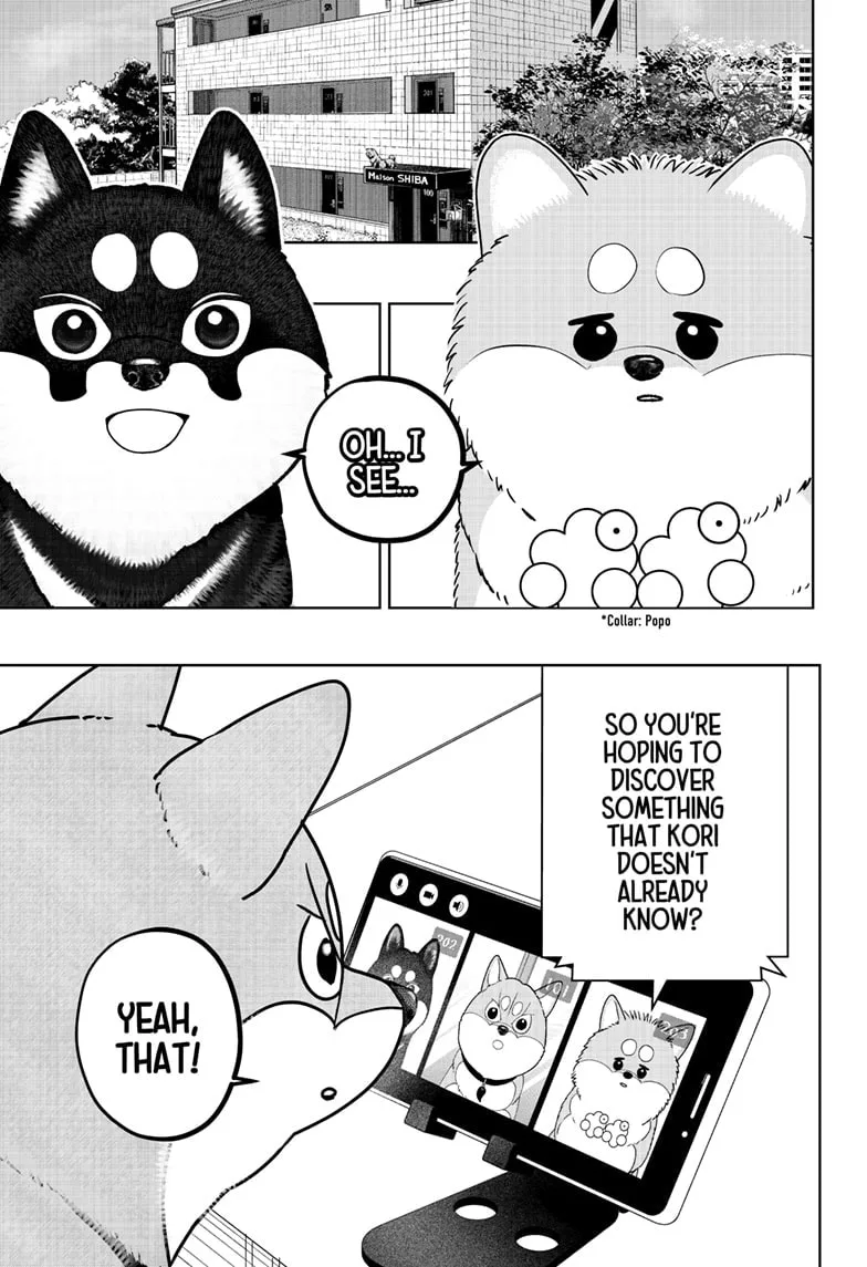 Shiba-Tsuki Bukken Chapter 49 page 13