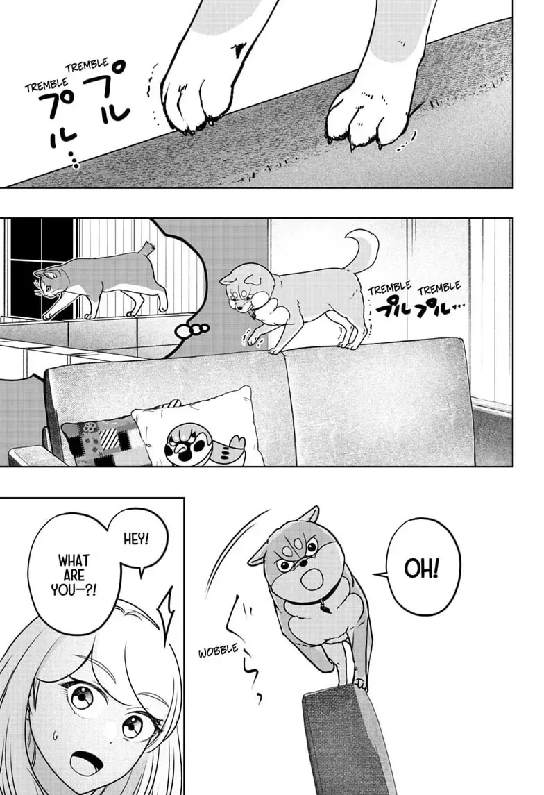 Shiba-Tsuki Bukken Chapter 53 page 25