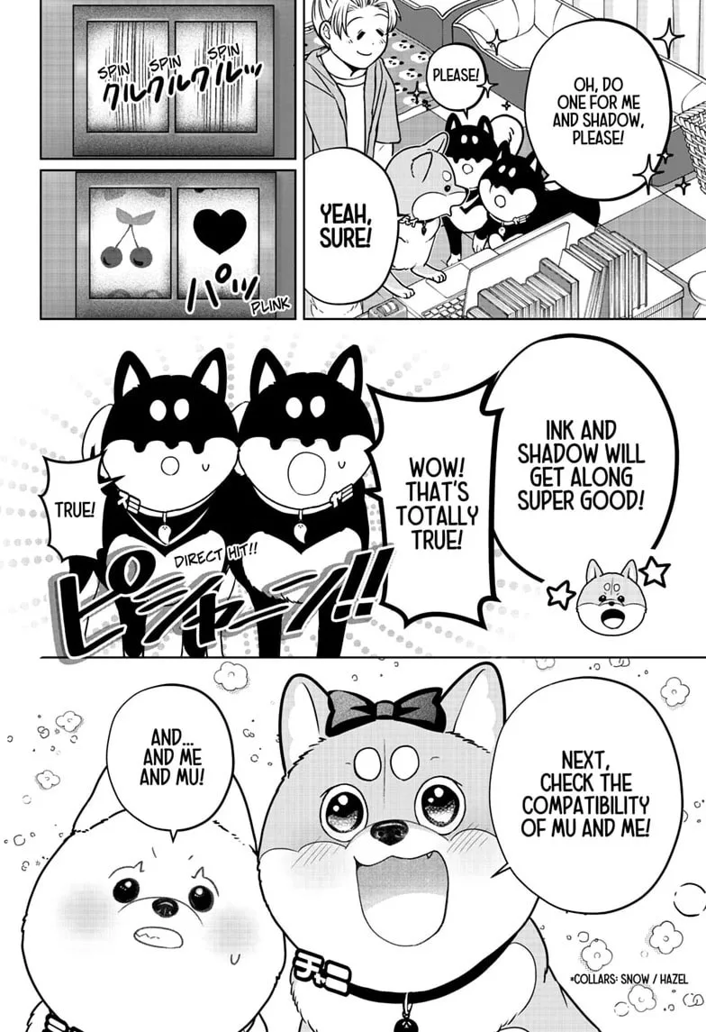 Shiba-Tsuki Bukken Chapter 58 page 12
