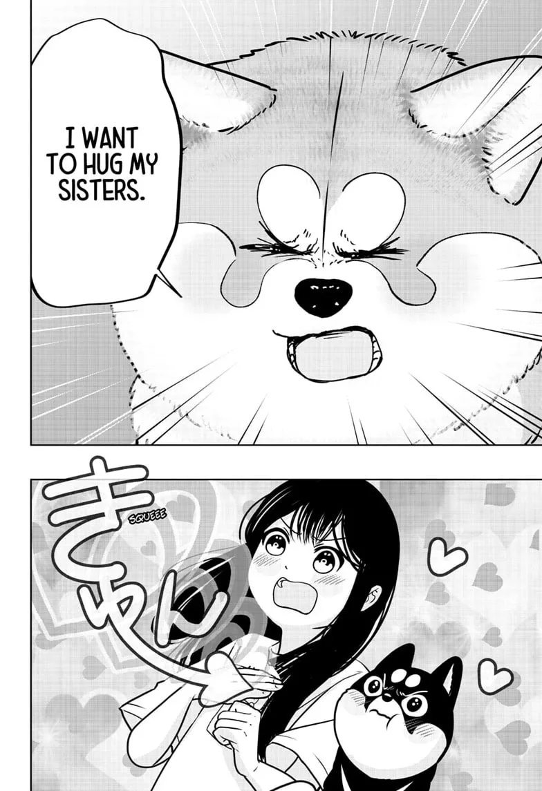 Shiba-Tsuki Bukken Chapter 59 page 20