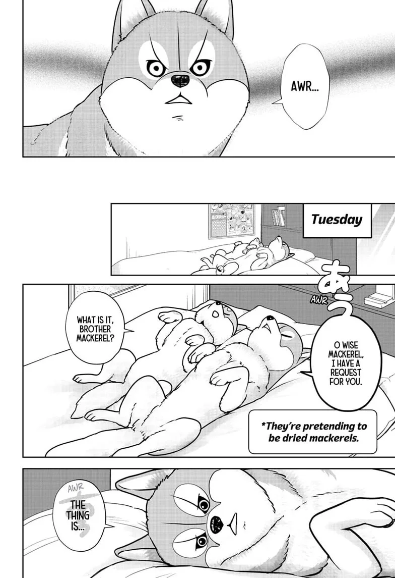 Shiba-Tsuki Bukken Chapter 62 page 2