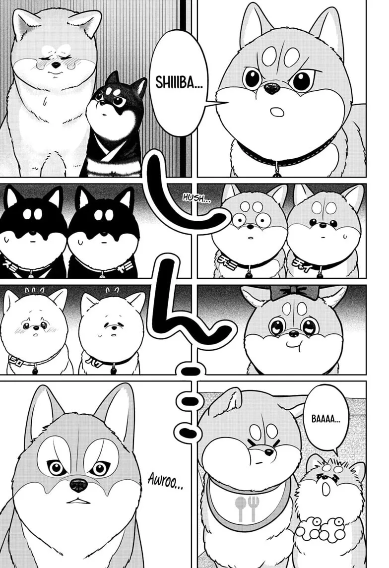 Shiba-Tsuki Bukken Chapter 62 page 13