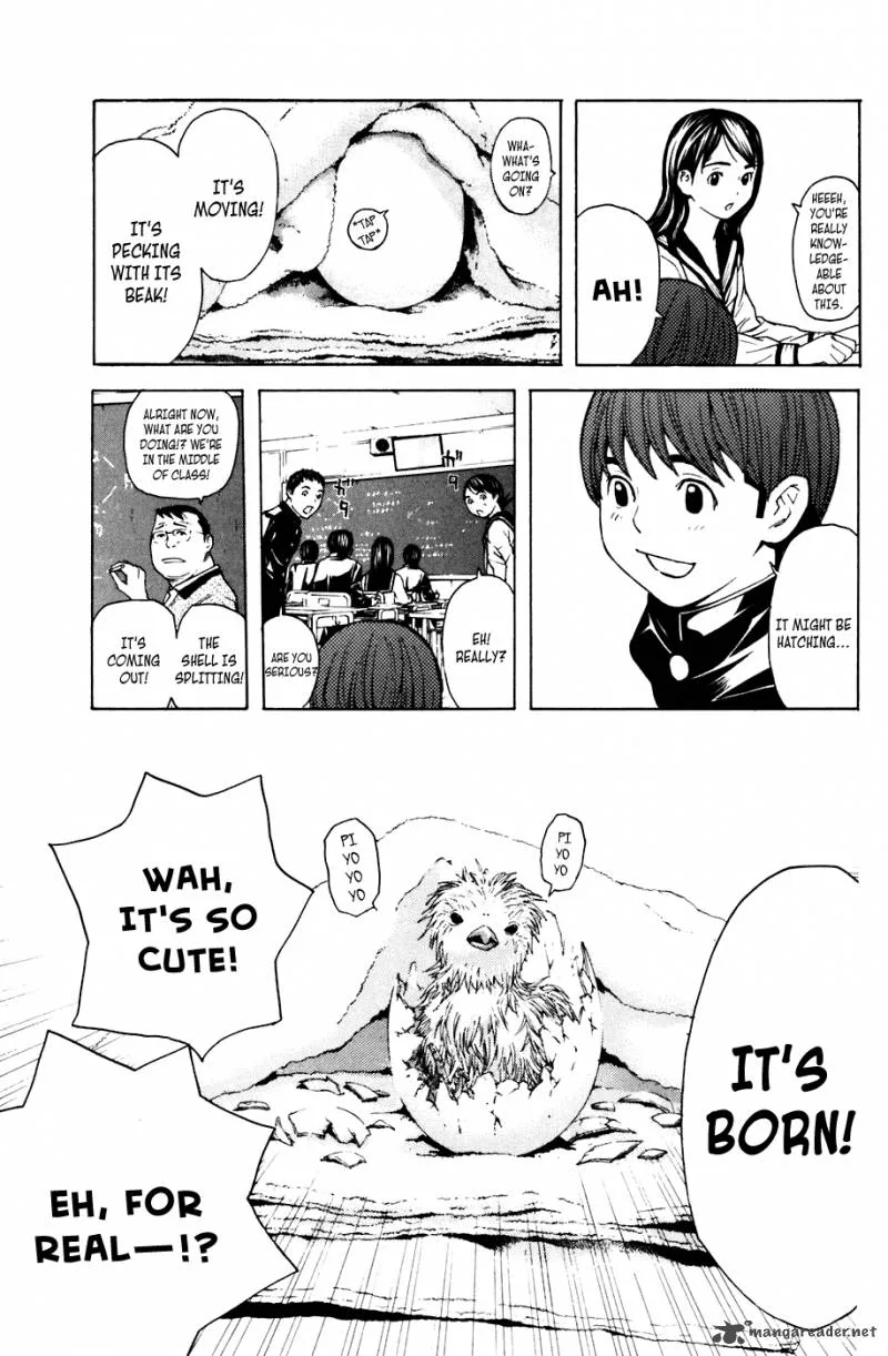 Shibatora Chapter 48 page 3
