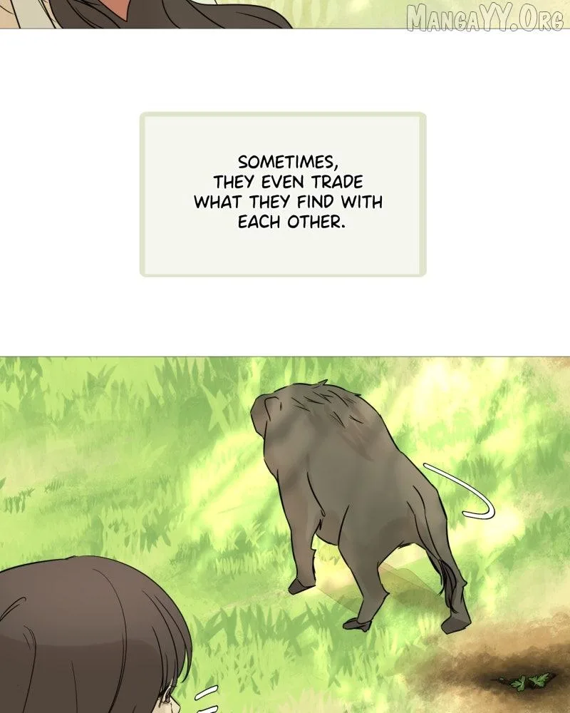 Shifting Tails Chapter 1 page 5