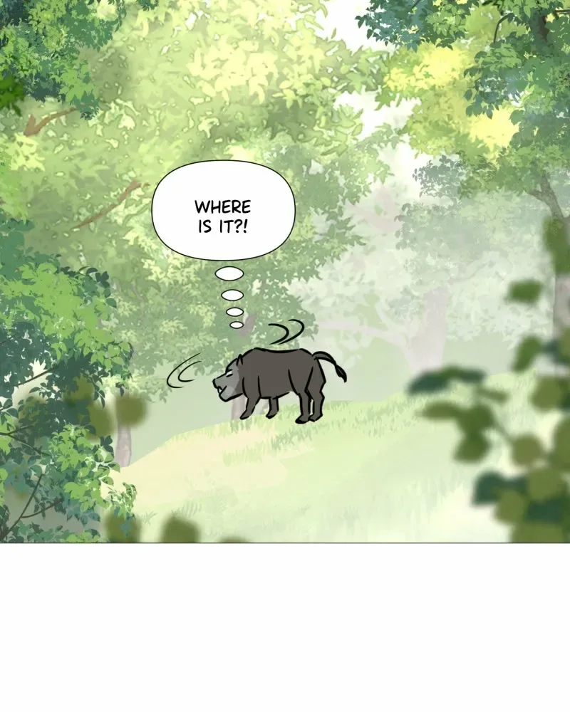 Shifting Tails Chapter 10 page 47