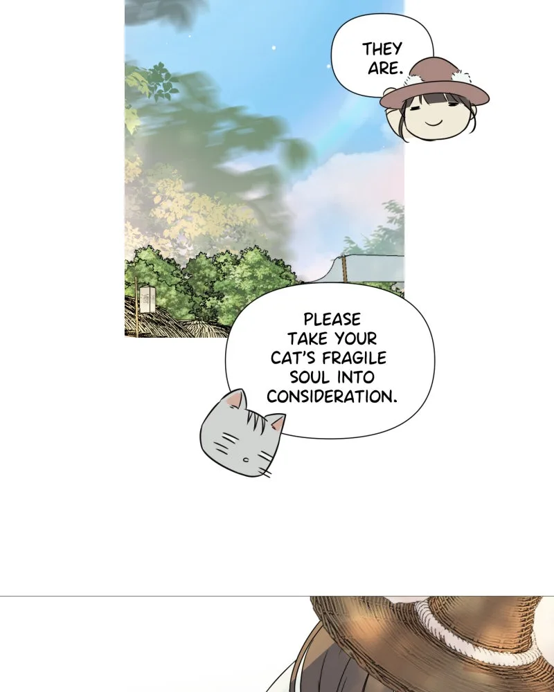 Shifting Tails Chapter 16 page 62