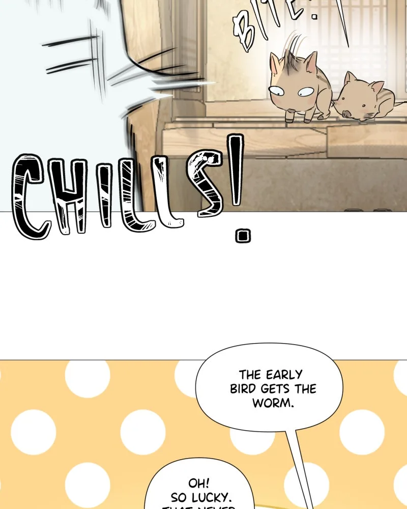 Shifting Tails Chapter 18 page 51
