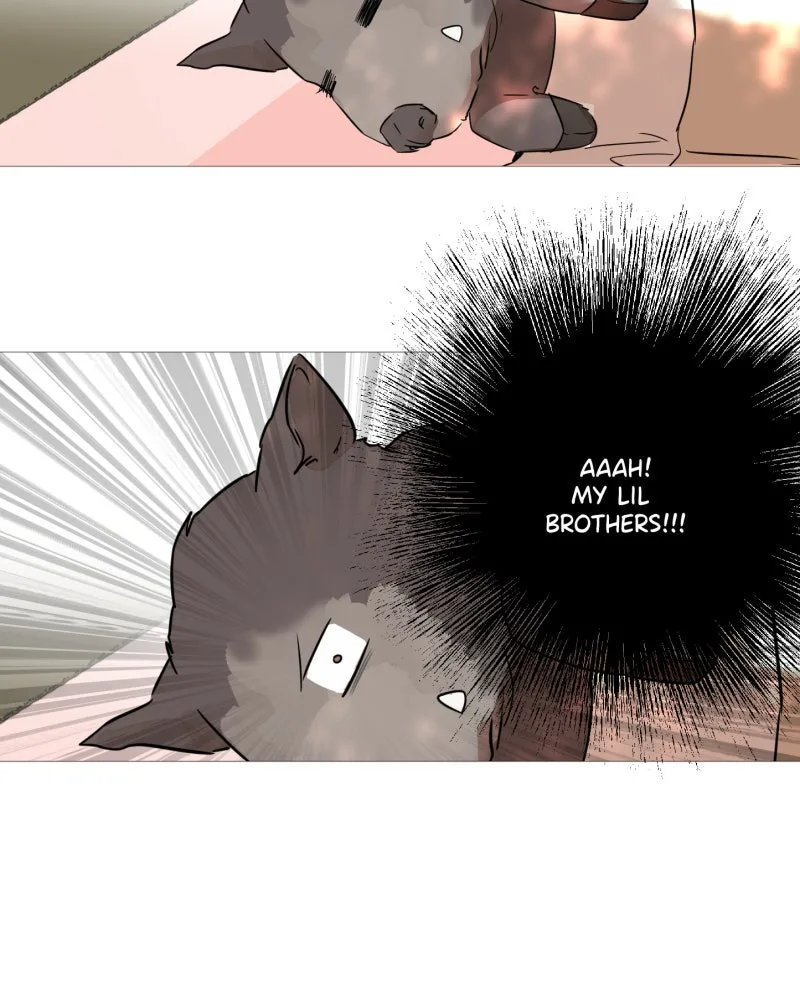 Shifting Tails Chapter 5 page 26