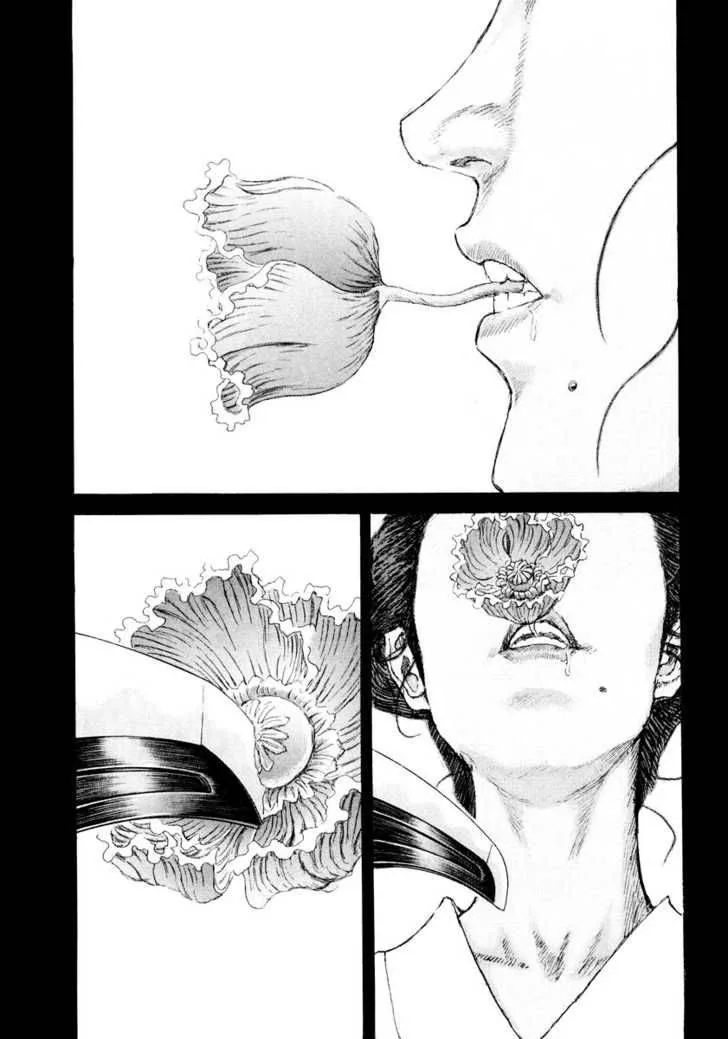 Shigurui Chapter 20 page 33