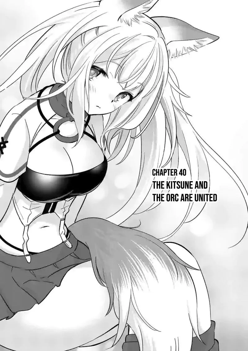 Shijou Saikyou Orc-san no Tanoshii Tanetsuke Harem Zukuri Chapter 40 page 1