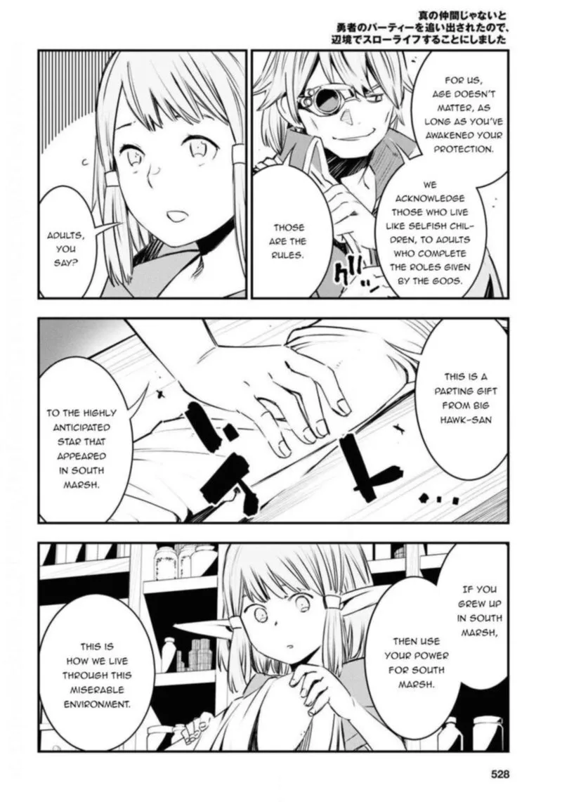 Shin no Nakama Janai to Yuusha no Party wo Oidasareta node Chapter 27 page 17