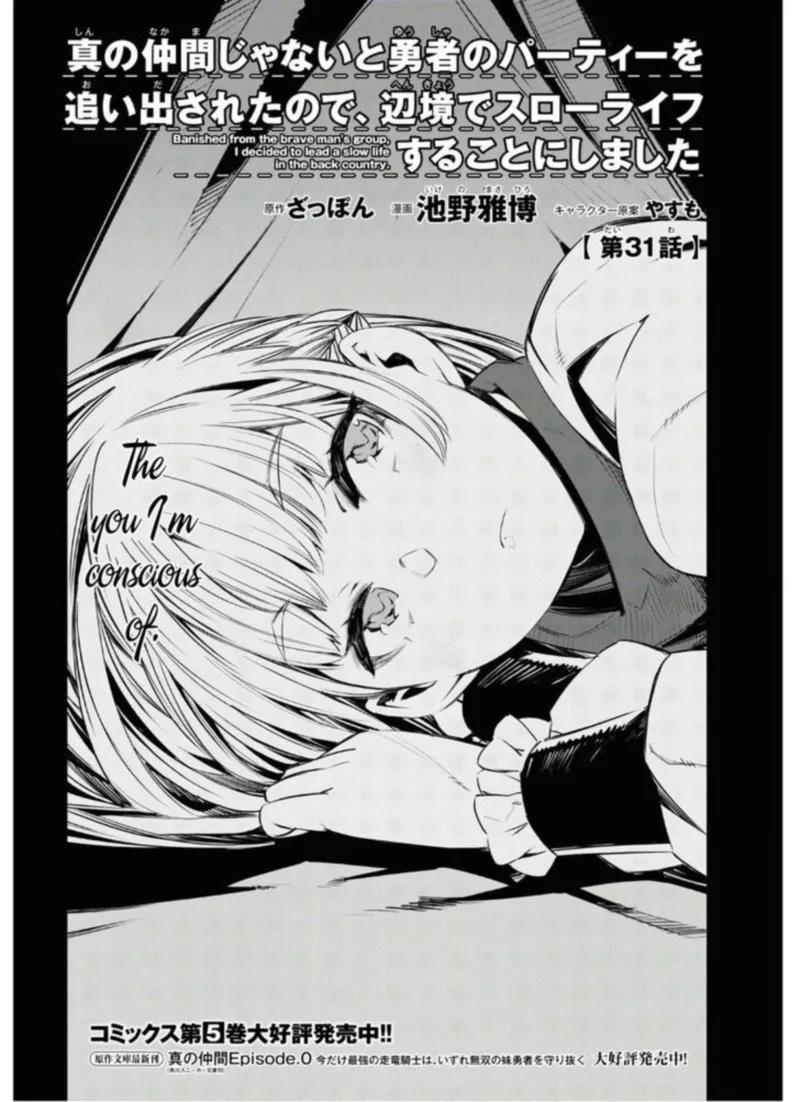 Shin no Nakama Janai to Yuusha no Party wo Oidasareta node Chapter 31 page 2