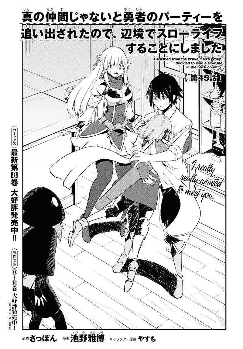 Shin no Nakama Janai to Yuusha no Party wo Oidasareta node Chapter 45 page 1