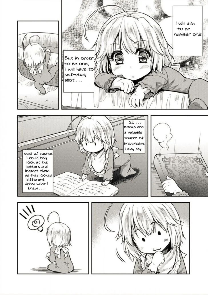 Shindou Sefiria no Gekokujou Program Chapter 2 page 8