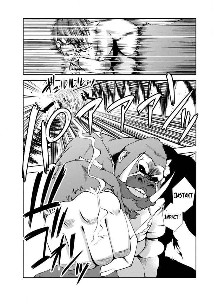 Shinka no Mi Chapter 42.2 page 7