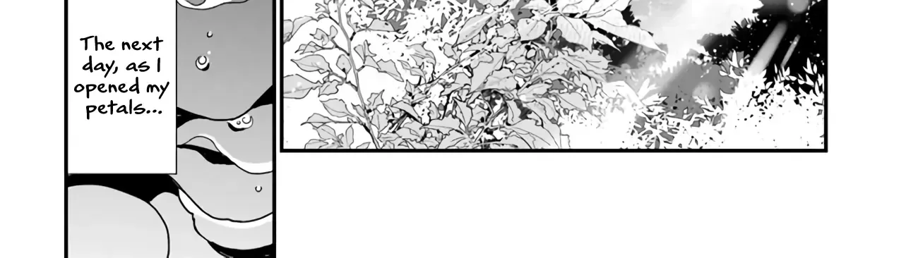 Shokubutsu Monster Musume Nikki ~Seijo datta Watashi ga Uragirareta Hate ni Aruraune ni Tensei Shite Shimatta node, kore kara wa Kougousei wo Shinagara Shizuka ni Shokubutsu Life wo Sugoshimasu~ Chapter 1.1 page 52