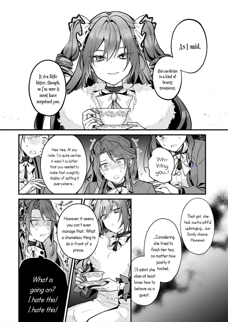 Silent Witch - Chinmoku no Majo no Kakushigoto Chapter 19.1 page 11