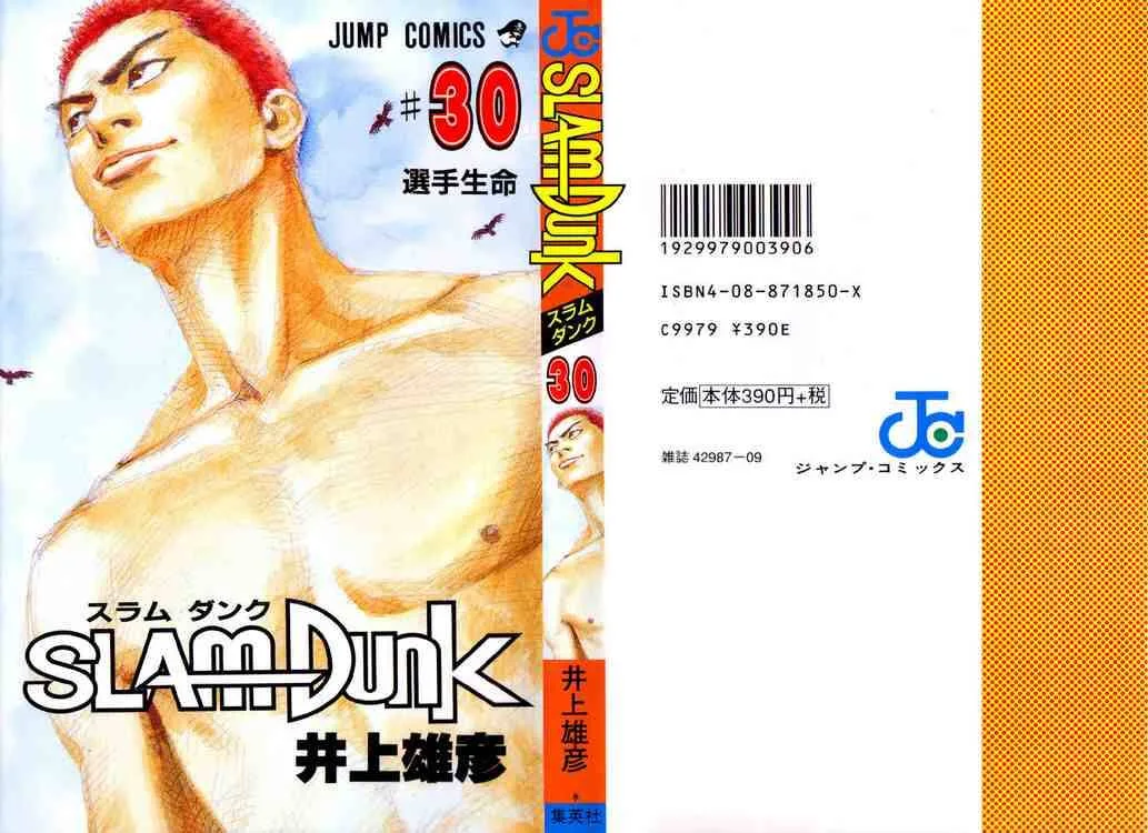 Slam Dunk Chapter 261 page 22