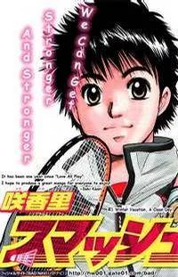 Smash cover