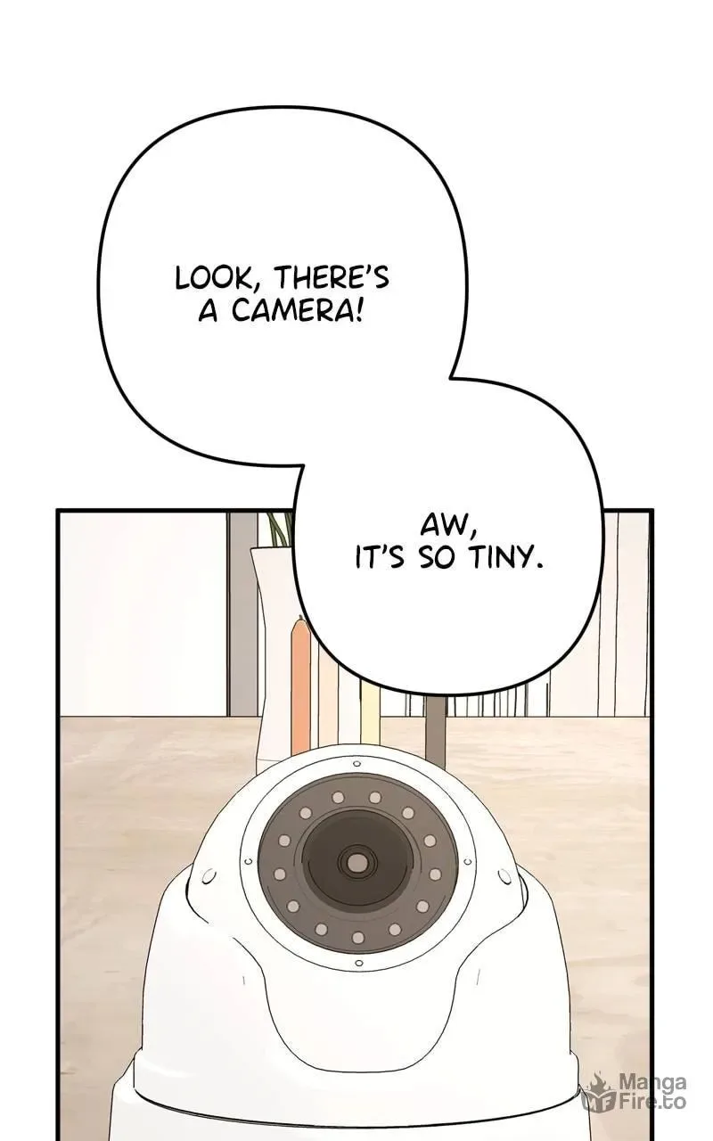 Solo School Chapter 5 page 45