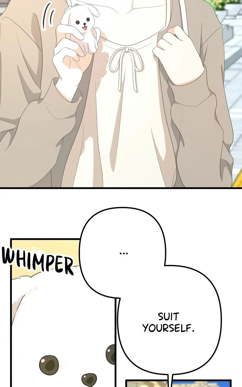 Solo School Chapter 94 page 96