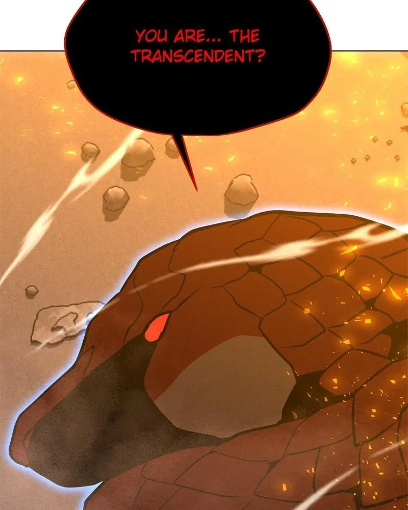 Solo Spell Caster Chapter 160 page 135