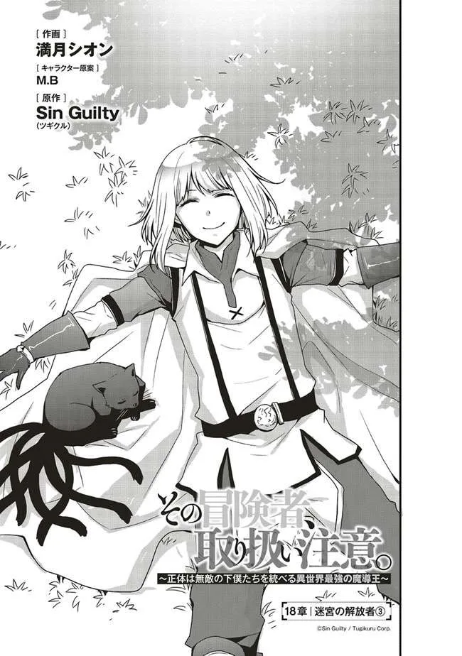 Sono Bouken-sha, Toriatsukai chuui. ~Shoutai wa Muteki no Geboku-tachi wo Suberu Isekai Saikyou no Madou-ou~ Chapter 18.1 page 4