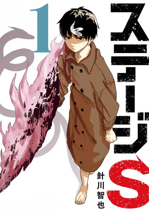Stage S cover