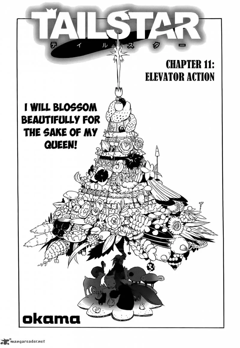 Tail Star Chapter 11 page 2