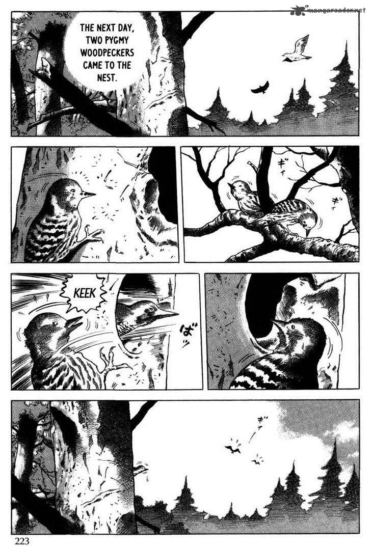 Tales of a Charcoal Burner Chapter 11 page 7