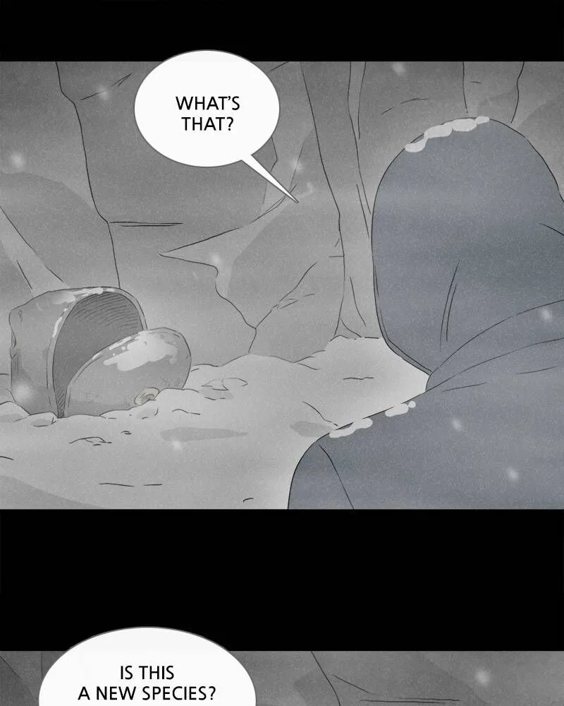 Tales of the Unusual Chapter 363 page 42