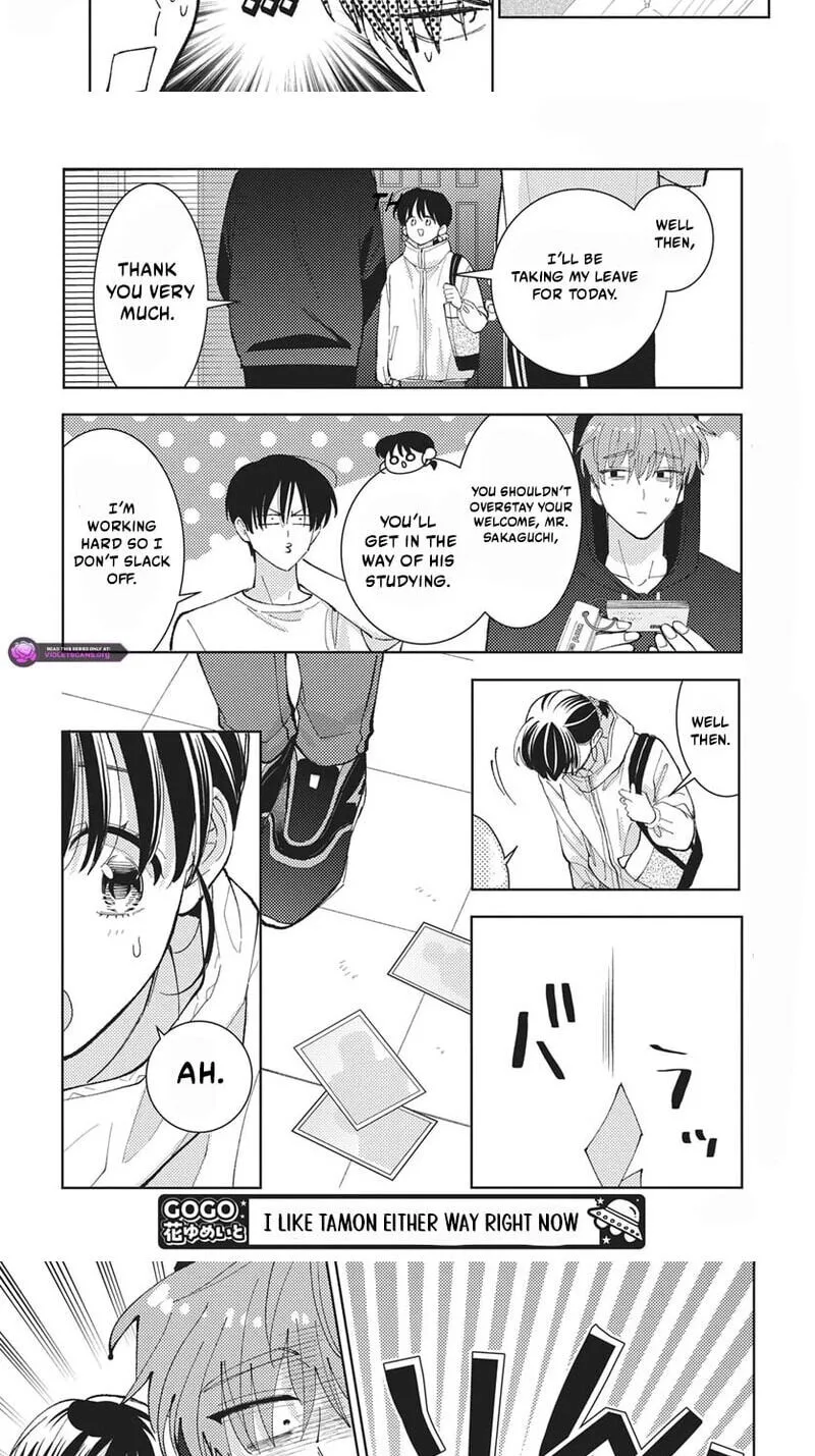 Tamon-kun ima docchi!? Chapter 84 page 4